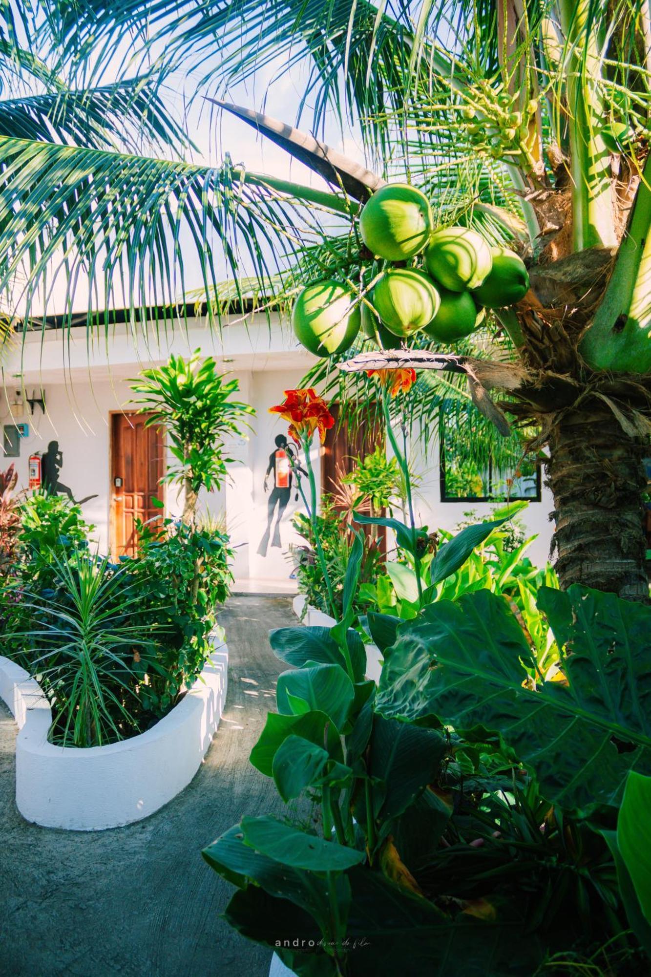 Ananas Guest house 4*